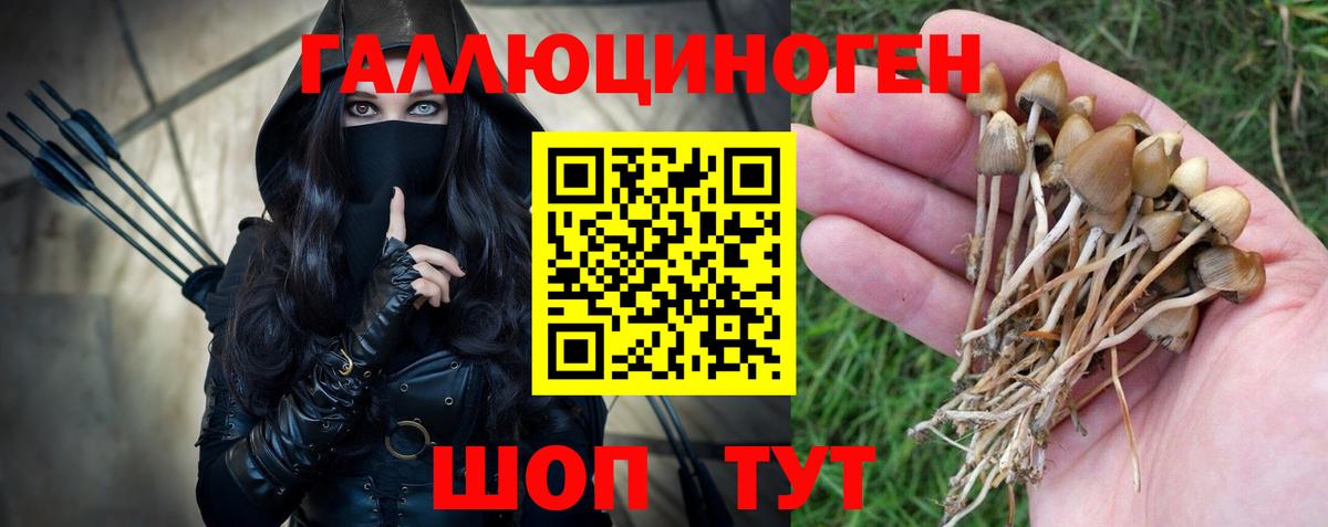 Псилоцибиновые грибы GOLDEN TEACHER Артём